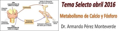 tema-selecto-abril-2016