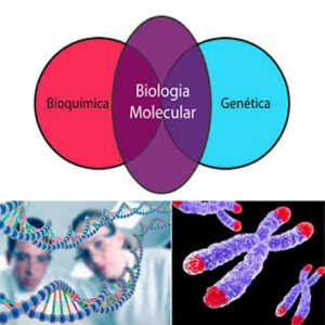 Lee más sobre el artículo Curso de Biología Molecular y Genética