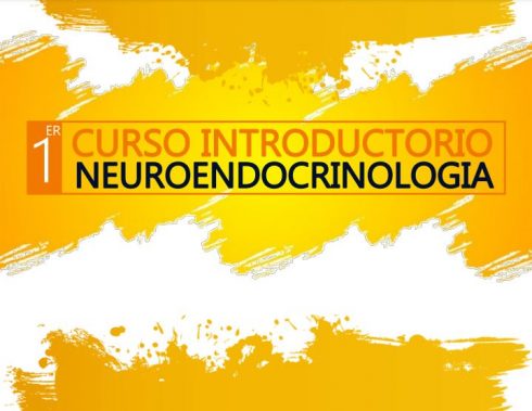 Lee más sobre el artículo 1er Curso Introductorio Endocrinología. Viernes 12 de marzo de 2021